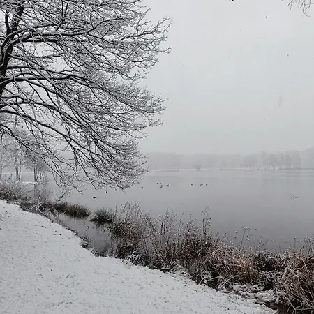Lauwie 14 *