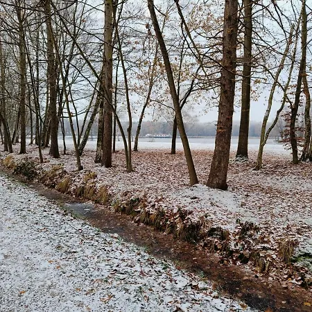 Lauwie 14