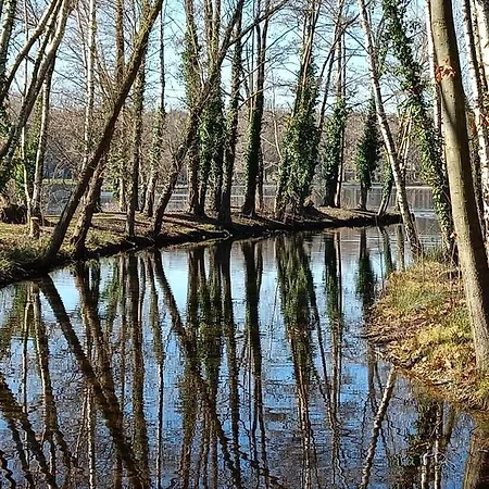 Lauwie 14