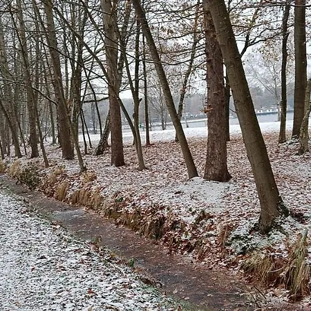 Lauwie 14 Lanaken